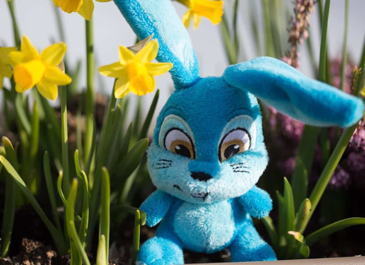 Chocolate Bunny Making at Chocolate Frey in Buchs