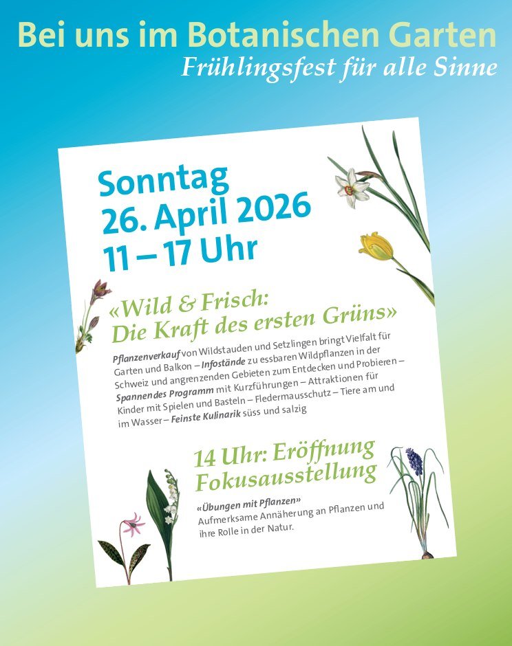 SPRING FESTIVAL Spring Festial 26th APRIL 2026