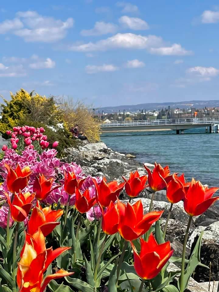 Top Things To Do In Morges When Visiting In Spring