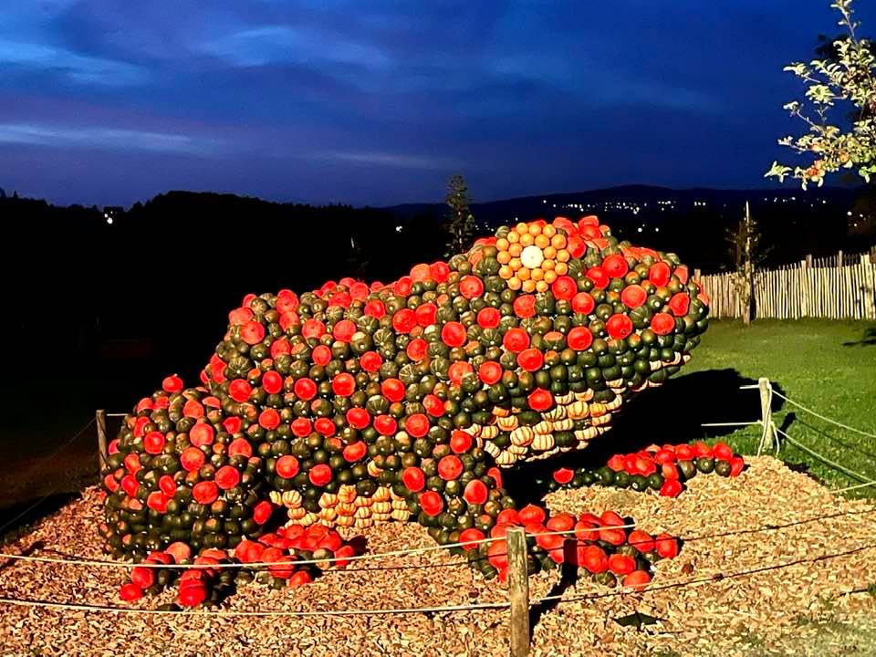The Wonderful Pumpkin Exhibition at the Jucker Farm - Kürbis Austellung - frog