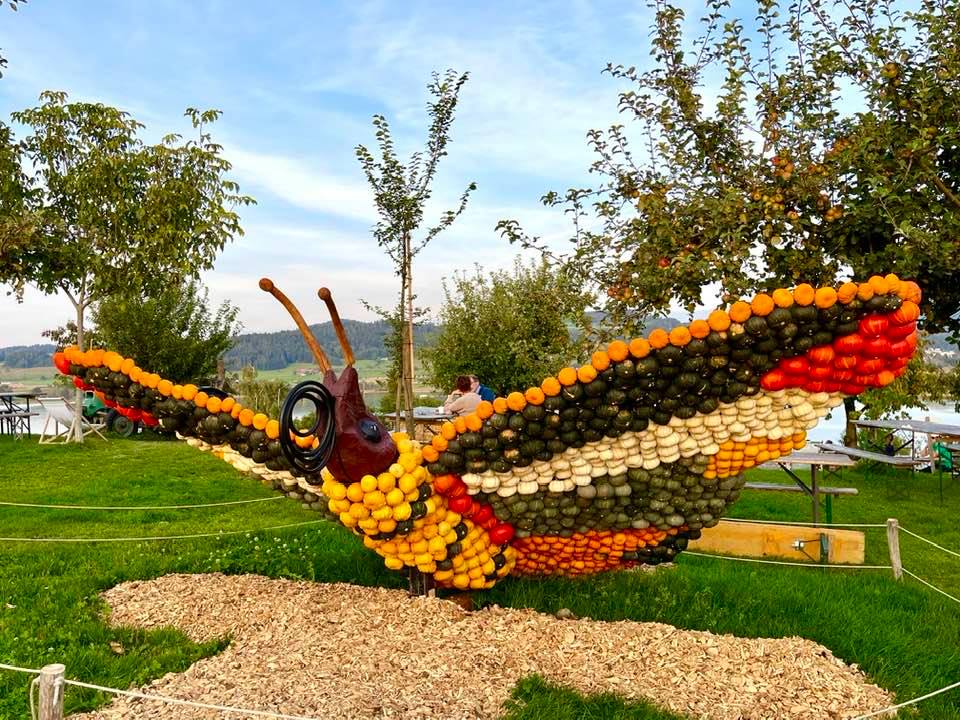 The Wonderful Pumpkin Exhibition at the Jucker Farm - Kürbis Austellung - chameleon 