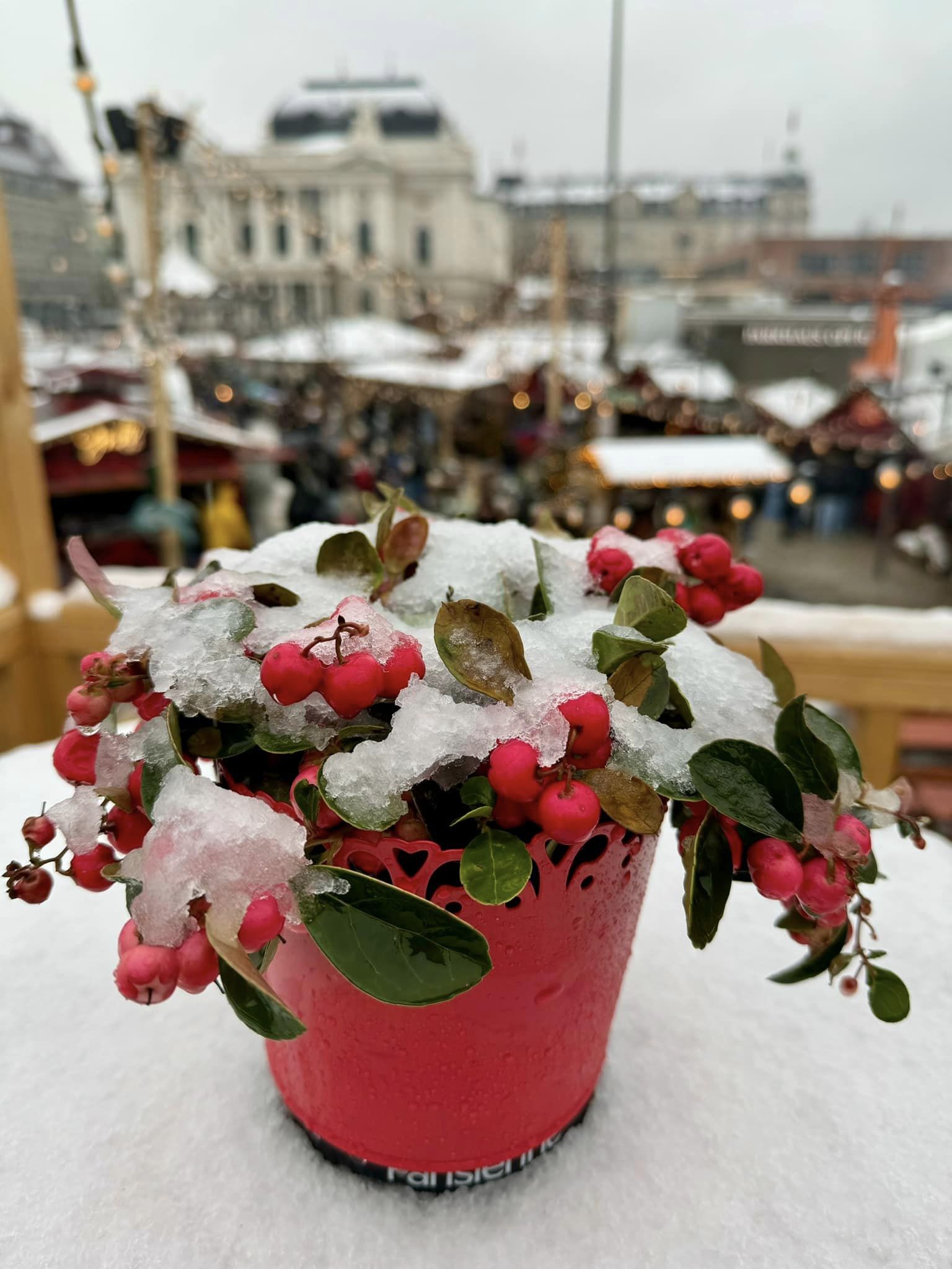 What's On In Zurich Beginning of December 2023