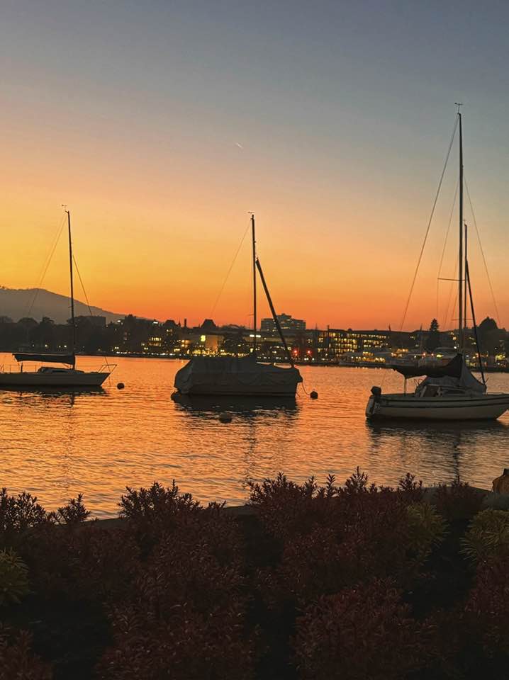What's On In Zurich Early November 2024