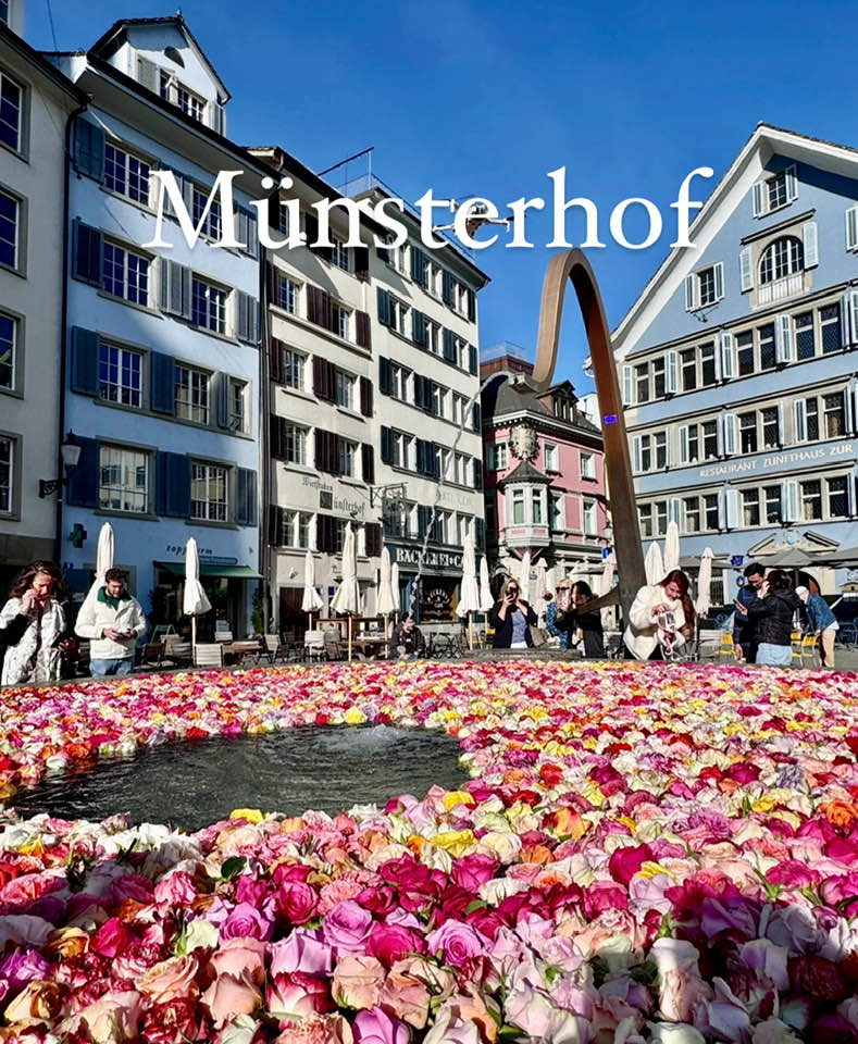 Münsterhof Rose Fountain Zurich