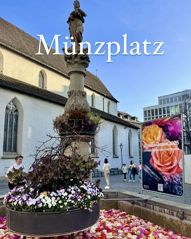 Münzplatz Rose Fountain Zurich 