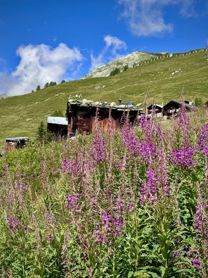 Lötschental is Open: Beyond the Blatten Disaster