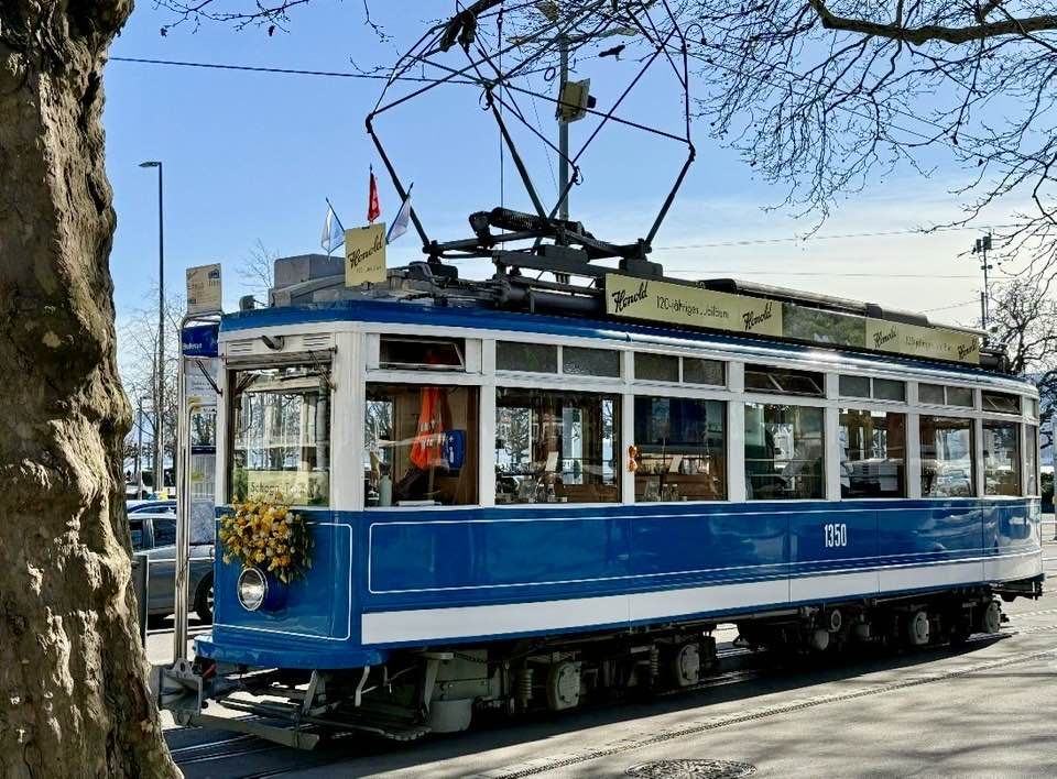 HONOLD Chocolate EASTER TRAM