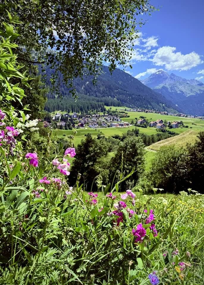Val Surses and Savognin near Hotel Aves 